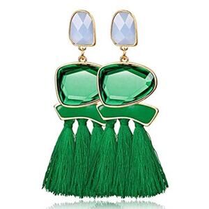 Jewel Tassel Drop Earrings